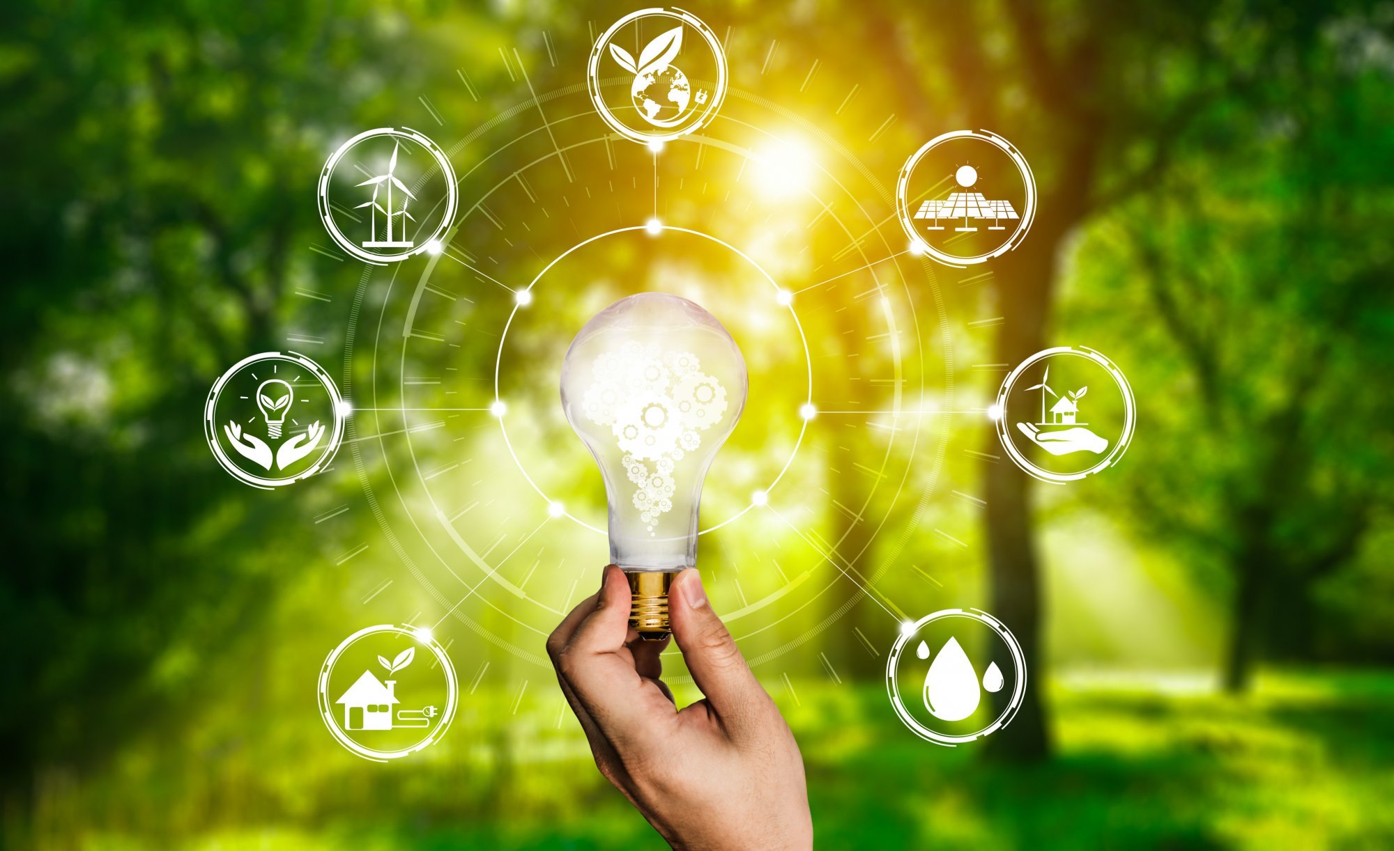 energy-innovation-light-bulb-graphic-interface.jpg