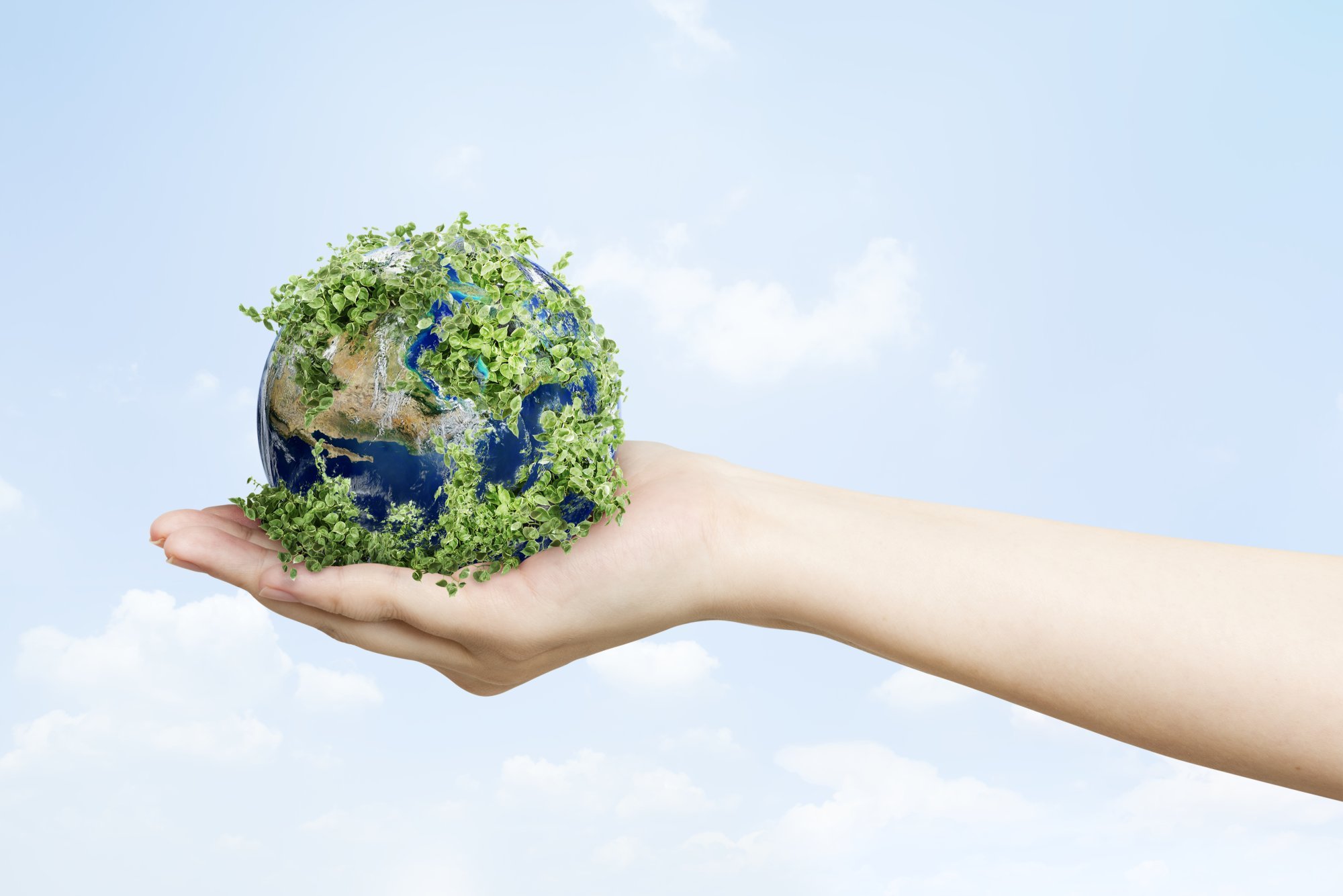 sustainable-living-environmentalist-hand-holding-green-earth.jpg