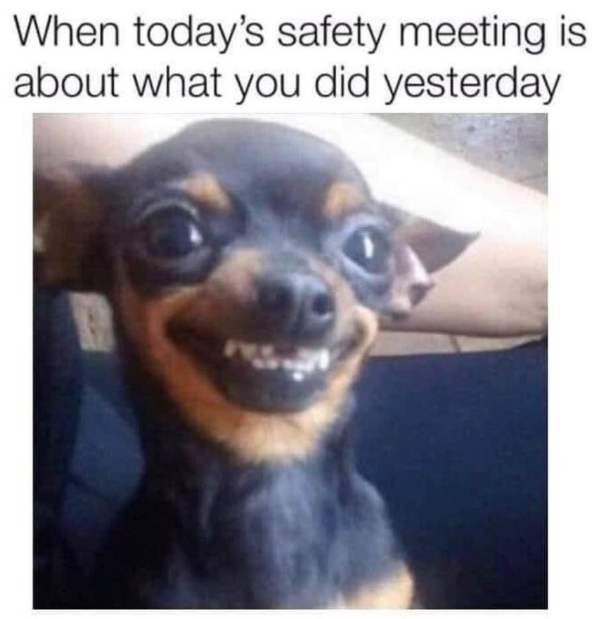 Knipsel hond.PNG